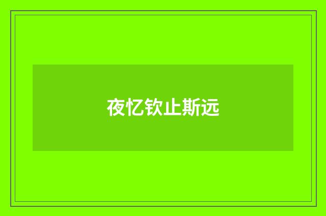 夜忆钦止斯远