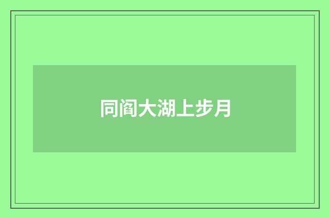 同阎大湖上步月