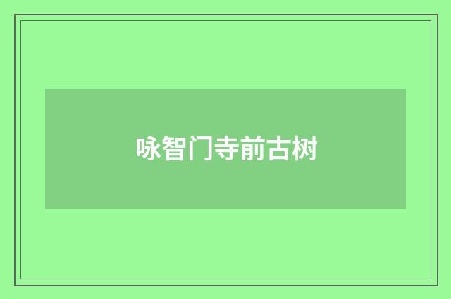 咏智门寺前古树