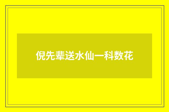 倪先辈送水仙一科数花