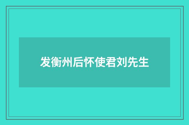 发衡州后怀使君刘先生