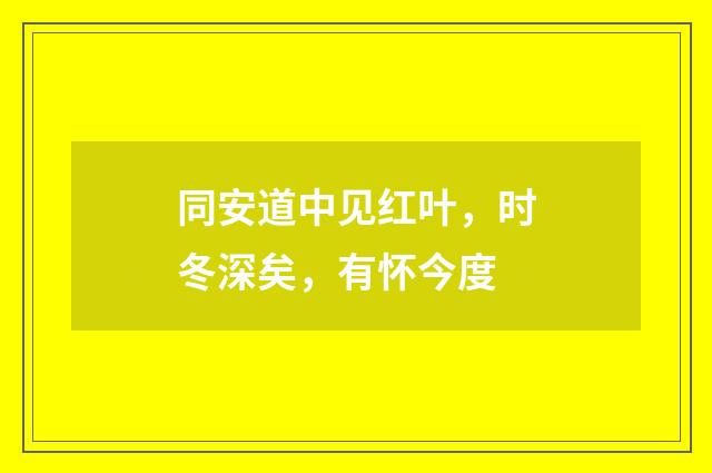 同安道中见红叶，时冬深矣，有怀今度