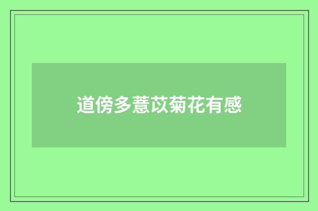 道傍多薏苡菊花有感