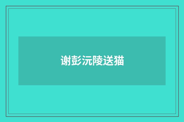 谢彭沅陵送猫