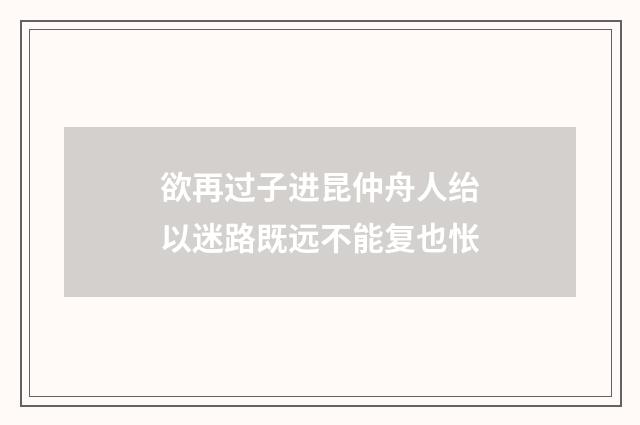 欲再过子进昆仲舟人绐以迷路既远不能复也怅