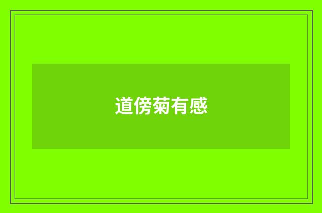 道傍菊有感