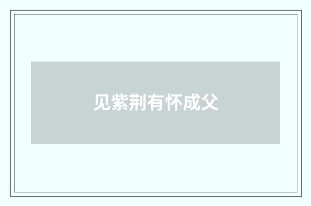 见紫荆有怀成父