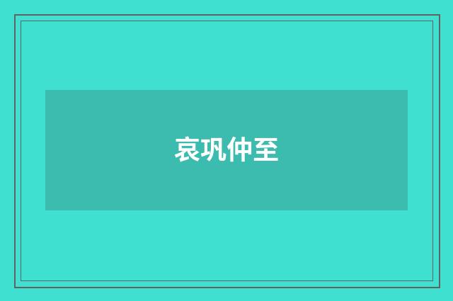 哀巩仲至