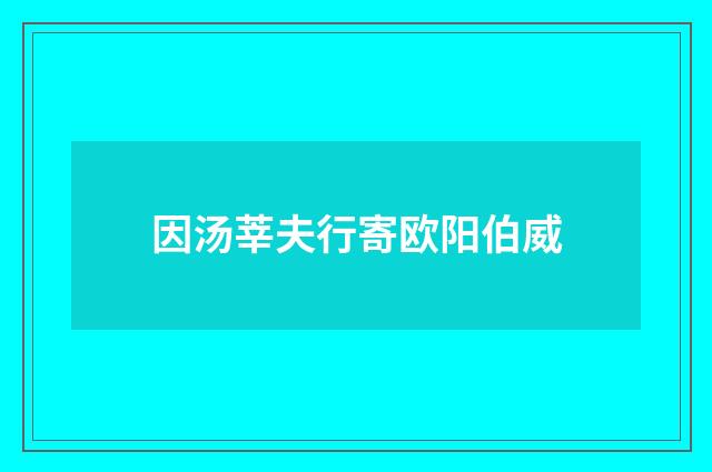 因汤莘夫行寄欧阳伯威