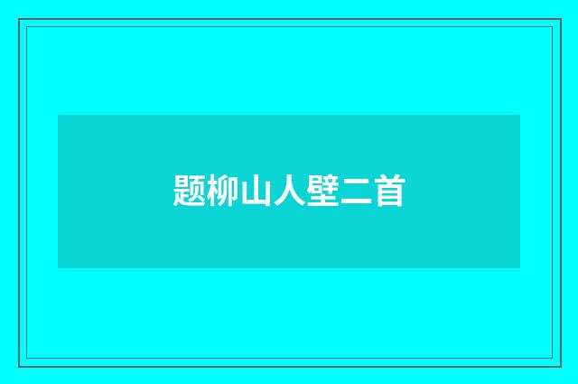 题柳山人壁二首