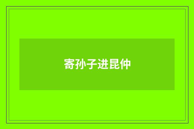 寄孙子进昆仲