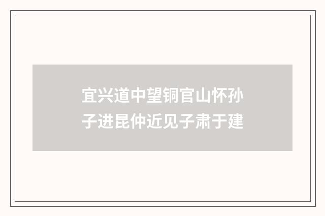 宜兴道中望铜官山怀孙子进昆仲近见子肃于建
