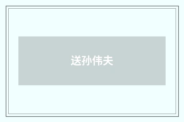 送孙伟夫