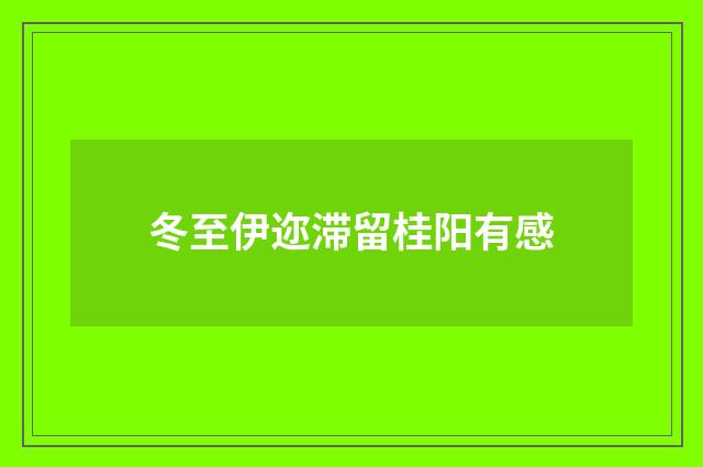 冬至伊迩滞留桂阳有感