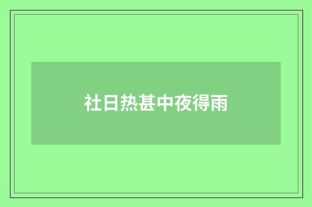 社日热甚中夜得雨