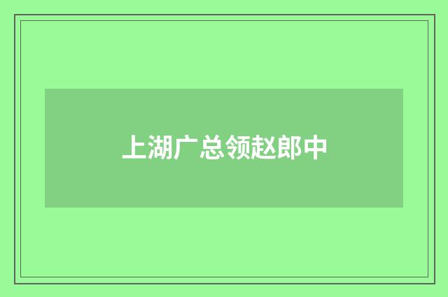 上湖广总领赵郎中