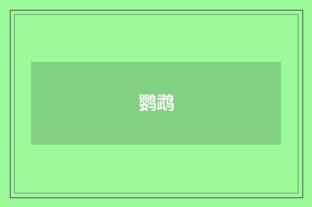 鹦鹉