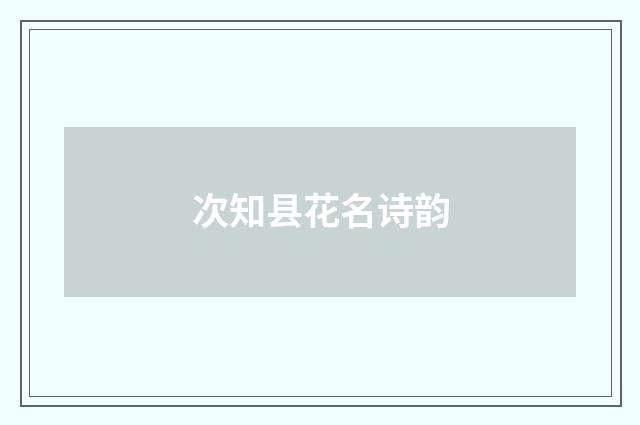 次知县花名诗韵