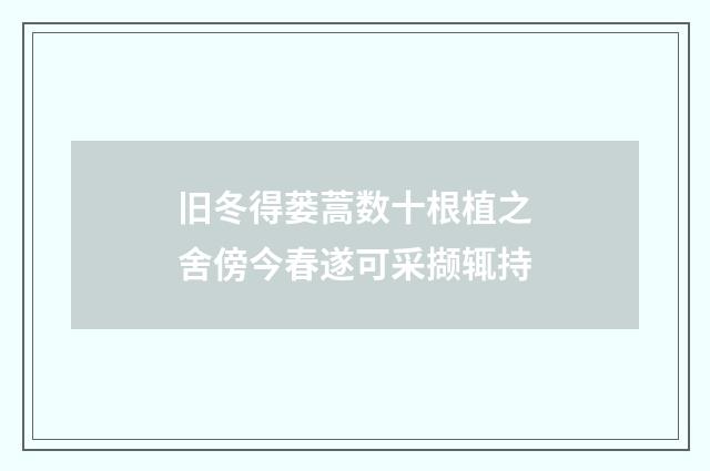 旧冬得蒌蒿数十根植之舍傍今春遂可采撷辄持