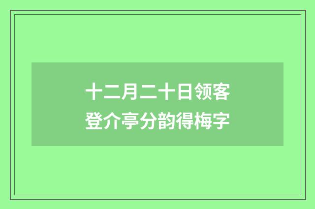 十二月二十日领客登介亭分韵得梅字