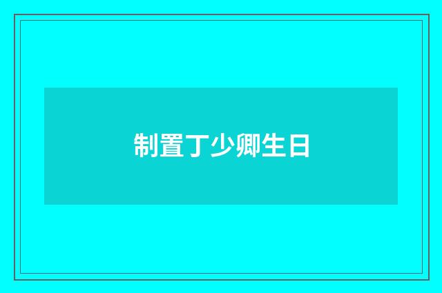 制置丁少卿生日