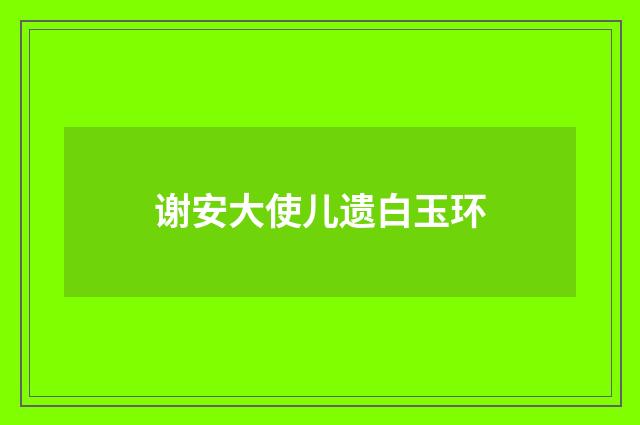 谢安大使儿遗白玉环