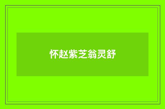 怀赵紫芝翁灵舒