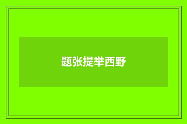 题张提举西野