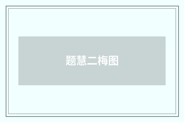 题慧二梅图