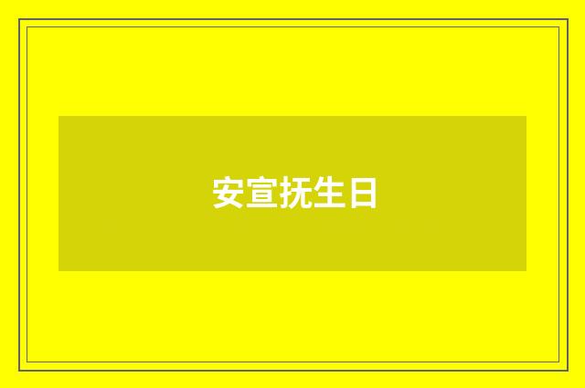 安宣抚生日