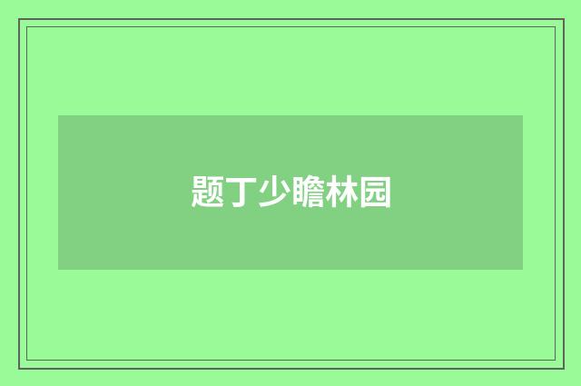 题丁少瞻林园