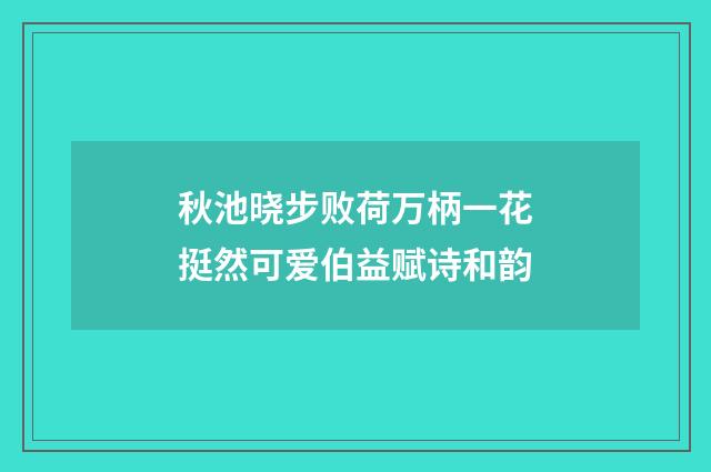 秋池晓步败荷万柄一花挺然可爱伯益赋诗和韵