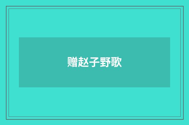 赠赵子野歌