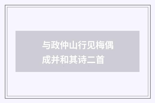 与政仲山行见梅偶成并和其诗二首