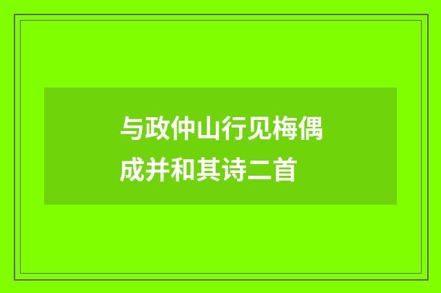 与政仲山行见梅偶成并和其诗二首