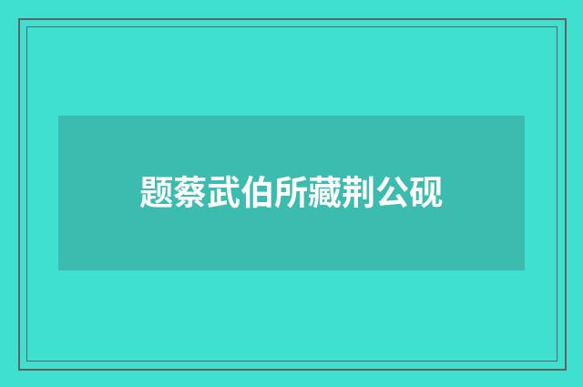 题蔡武伯所藏荆公砚