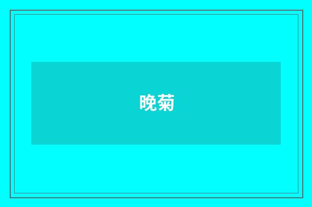 晚菊