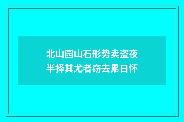 北山园山石形势卖盗夜半择其尤者窃去累日怀
