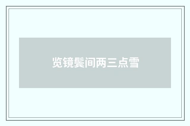 览镜鬓间两三点雪