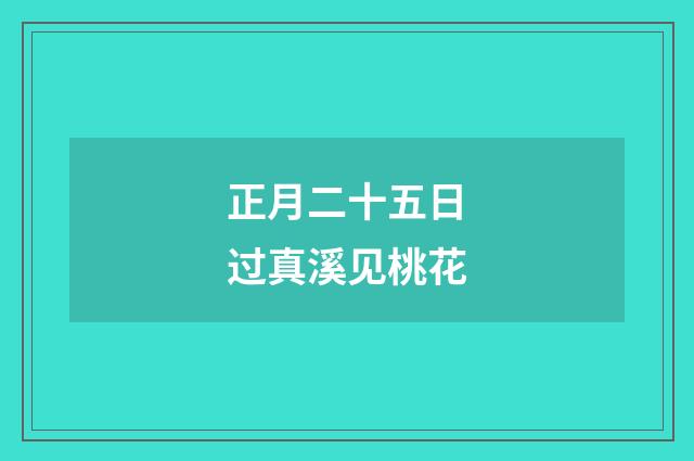 正月二十五日过真溪见桃花