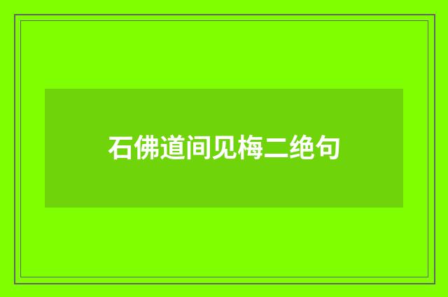 石佛道间见梅二绝句