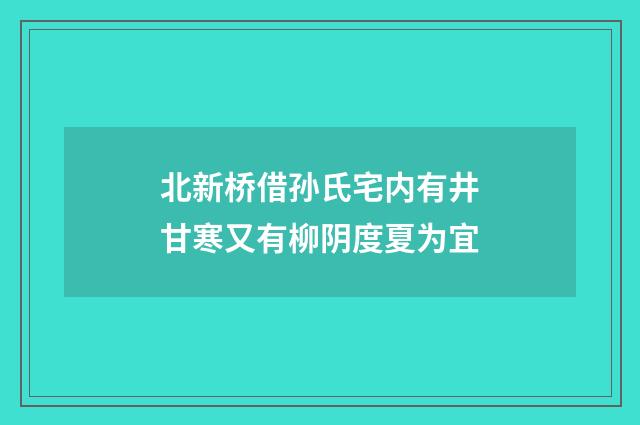 北新桥借孙氏宅内有井甘寒又有柳阴度夏为宜