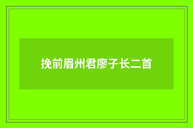 挽前眉州君廖子长二首