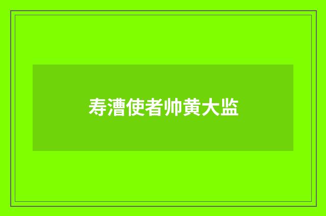 寿漕使者帅黄大监