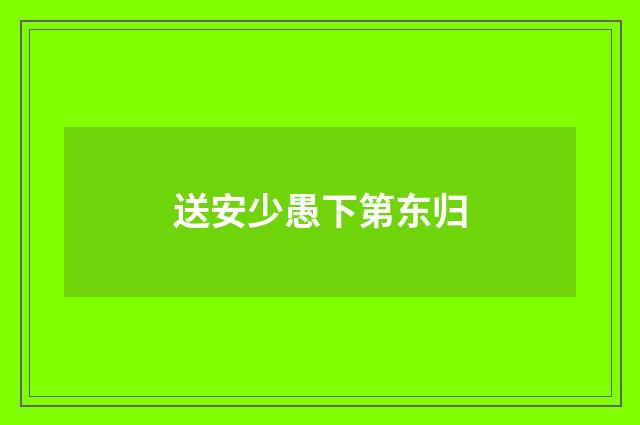 送安少愚下第东归