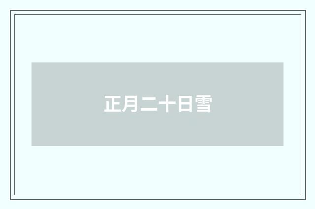 正月二十日雪
