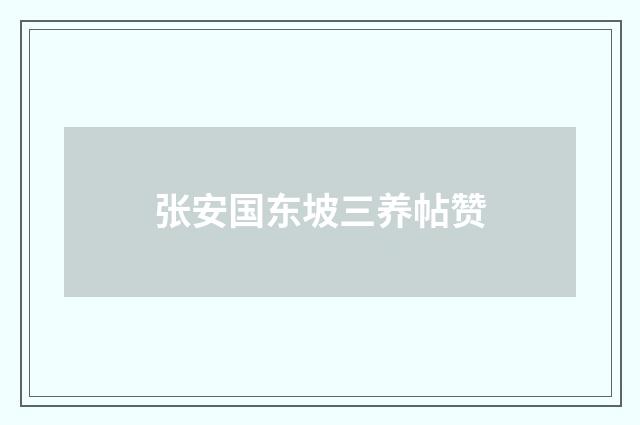 张安国东坡三养帖赞
