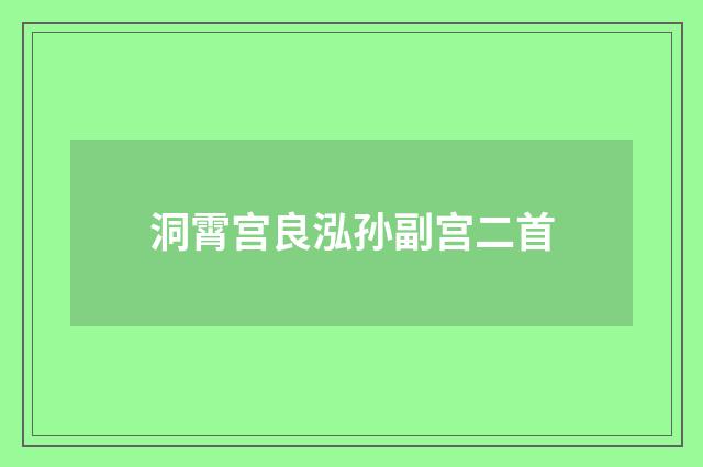 洞霄宫良泓孙副宫二首