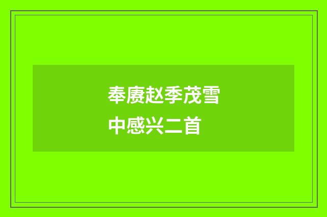 奉赓赵季茂雪中感兴二首