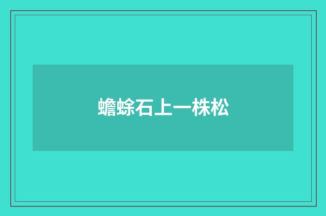 蟾蜍石上一株松